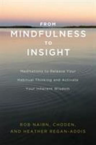 From Mindfulness to Insight Meditations for Releasing Habits Paperback