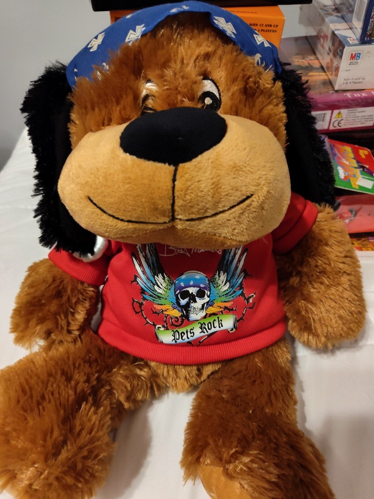 Chance Bret Michaels Pets Rock Luv A Pet 16