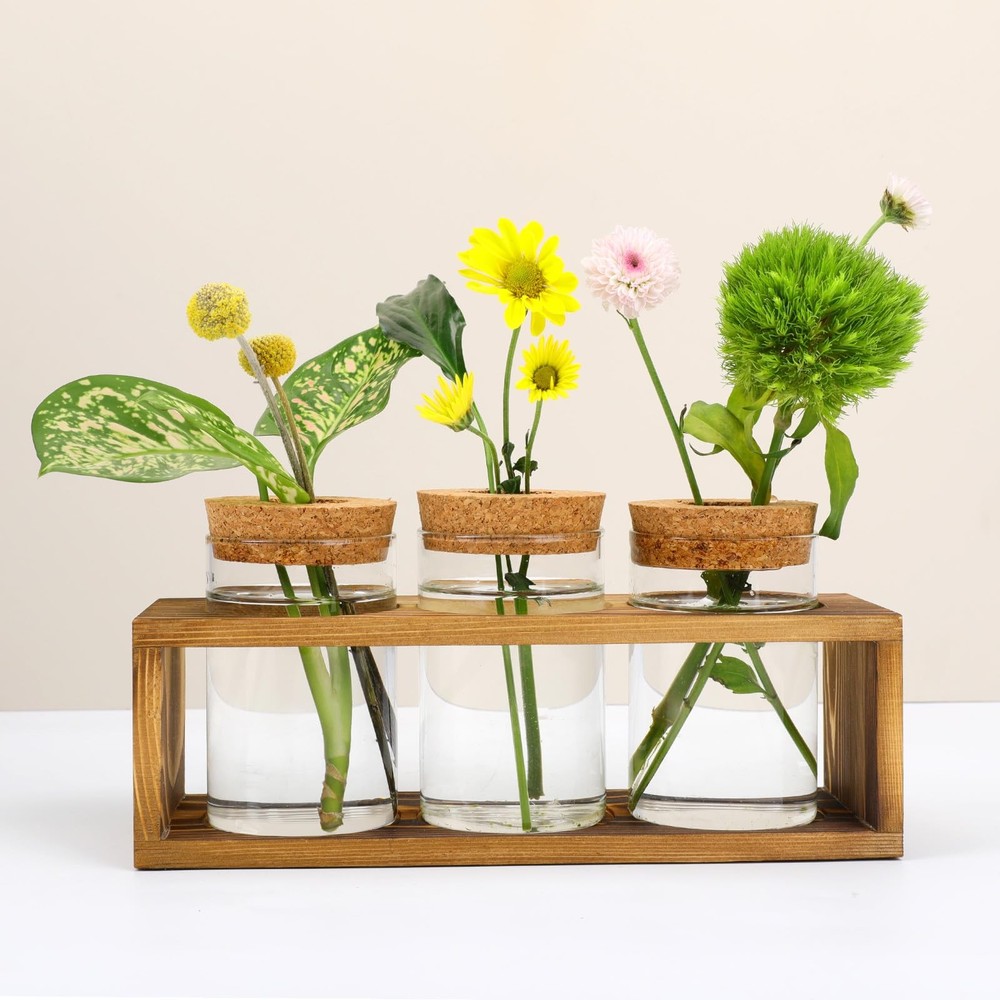 Glass Propagation Stations for Indoor Hydroponic Plants and Terrarium Decor