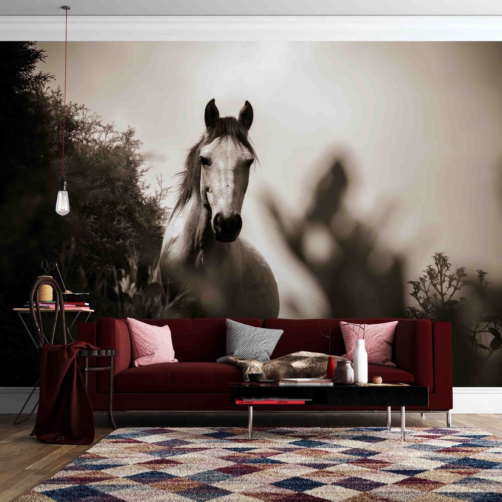 3D Horse Animal Close-up Wall Murals Wallpaper Murals Wall Sticker