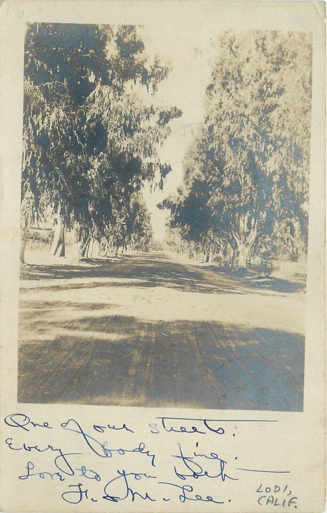 1906 Lodi California Rural Road undivided Postcard RPPC 25-273