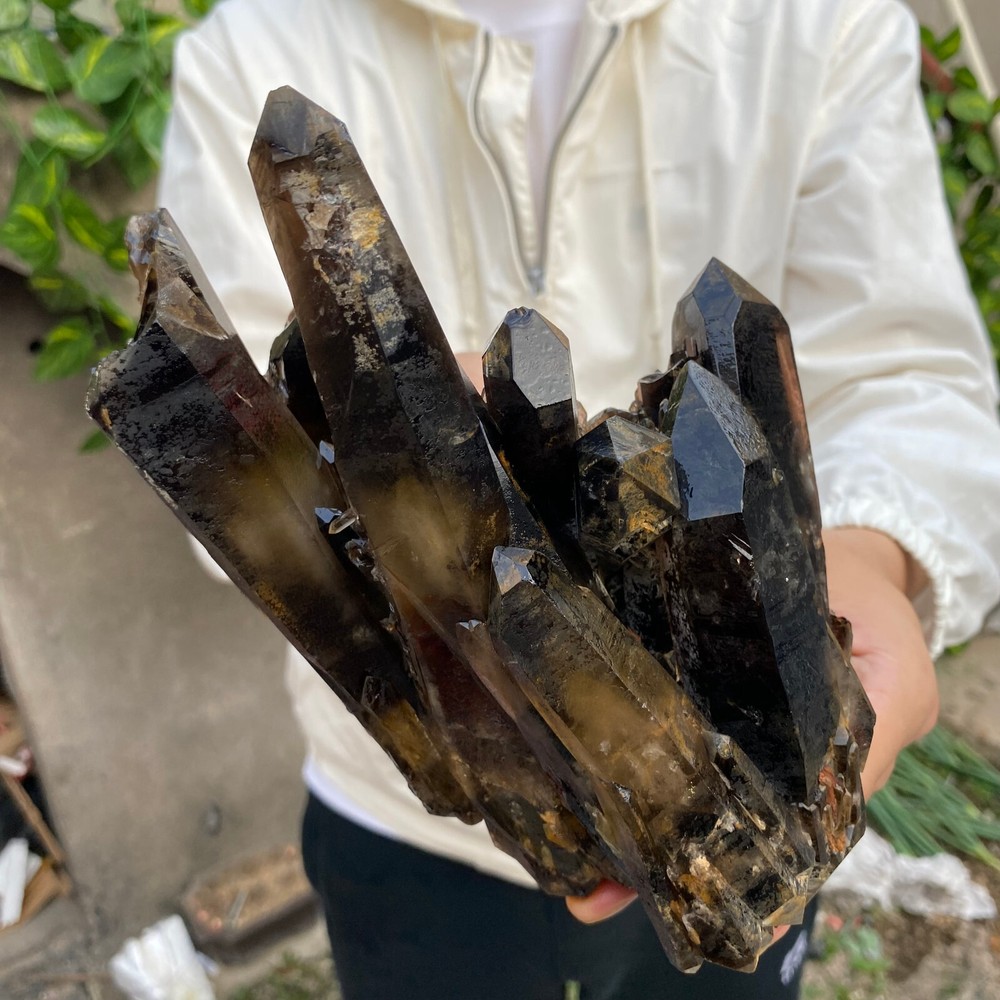 3.8LB Natural smoky Black Quartz Crystal Cluster Mineral Specimen Healing