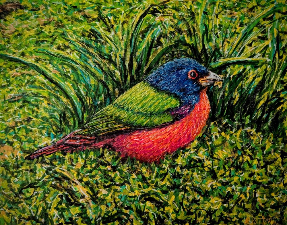 Colorful Painted Bunting Bird Acrylic Wildlife Art Painting 14x11