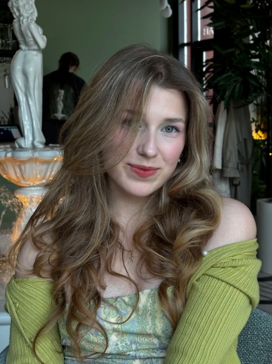 Brown Highlight Wave Wig 100% Human Hair 13x4 Lace Front Wig for Women