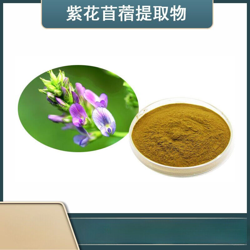 Organic Natural Alfalfa Extract Powder Medicago sativa Powder