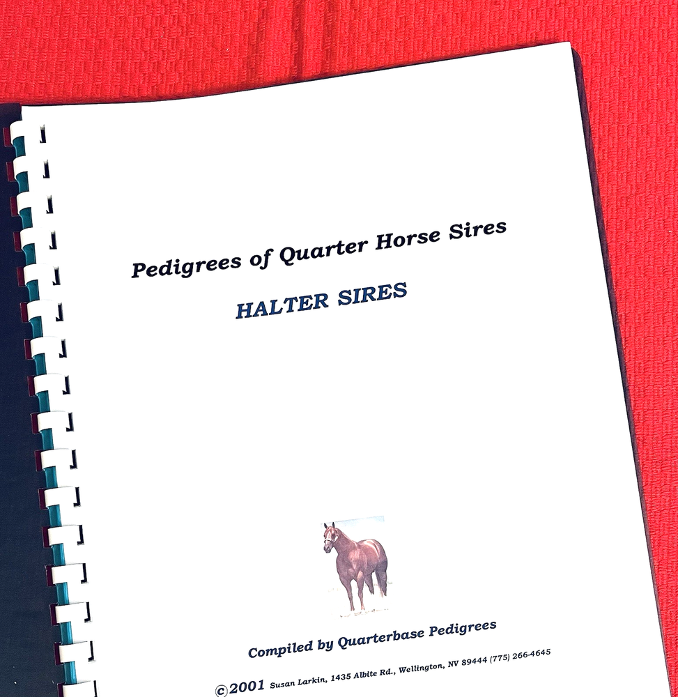 X-RARE!  Quarter Horse 