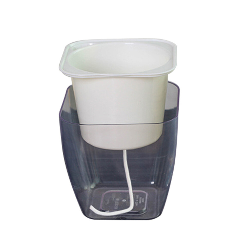 Garden Bottle Brush Plant Office Planter Stylish Flower Pot