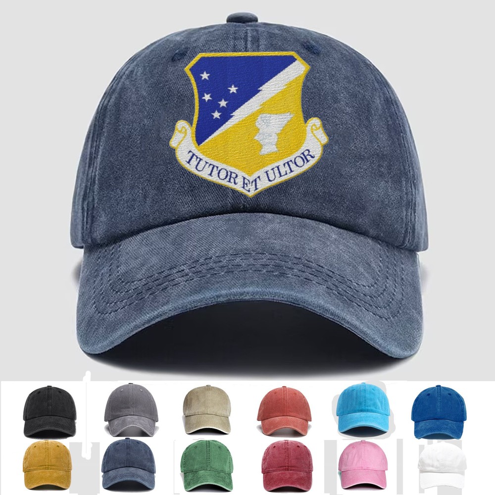 Custom Personalization Embroidered Hat 49th Wing, Veteran Cap, Trucker Hat, Gift