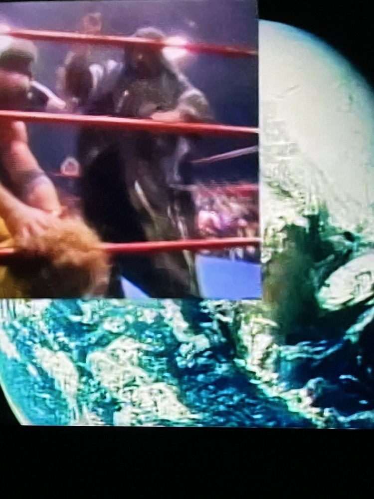 WCCW Cotton Bowl Extravaganza 1984 DVD featuring 10/27/84 wrestling show