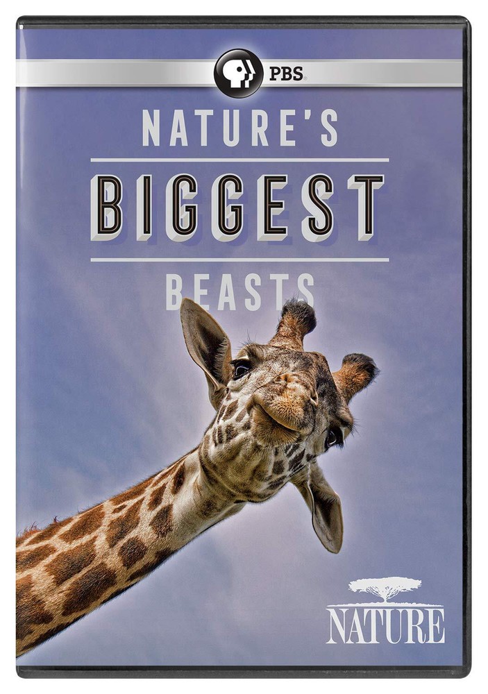 NATURE: Nature's Biggest Beasts DVD (DVD)