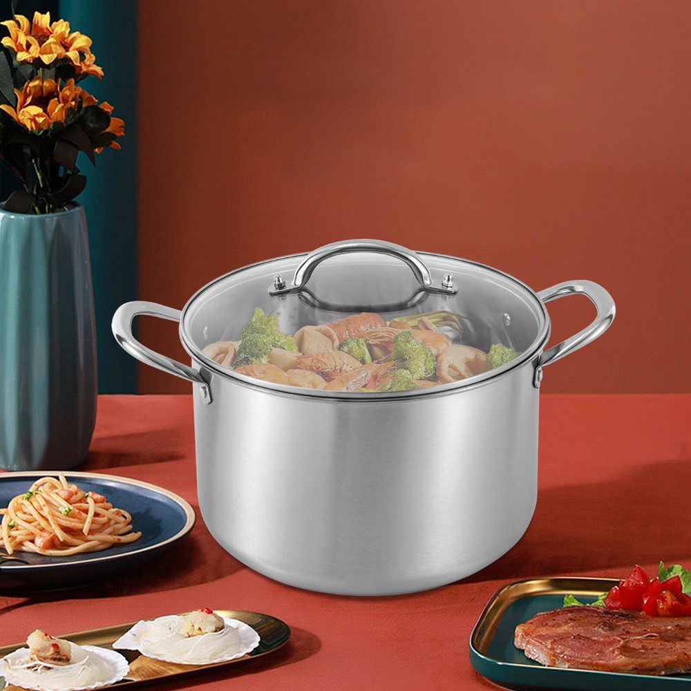 3L Stainless Steel Stock Pot with Lid & Steaming Rack