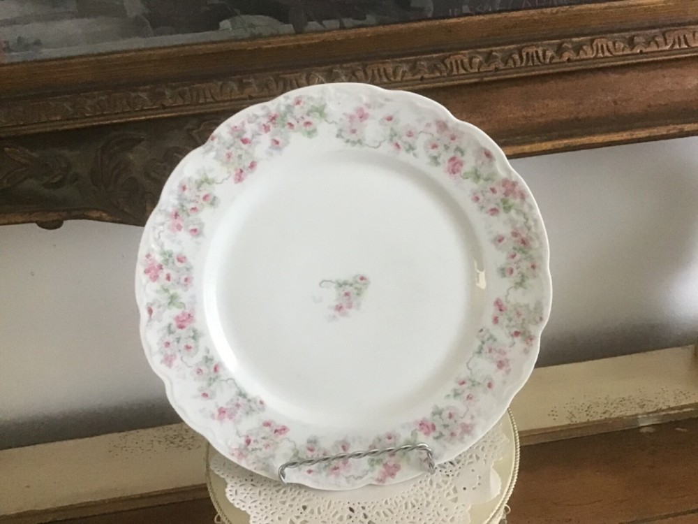 Vtg KPM Germany Mini Pink Roses Swag Dinner and Salad Plate Set