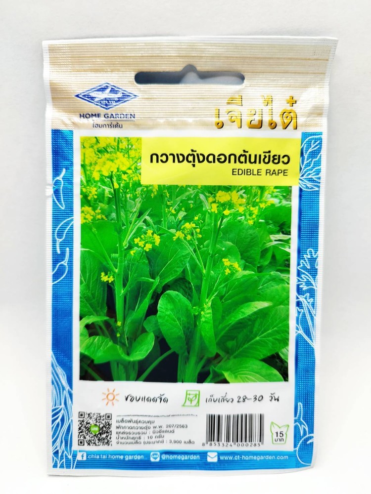 Pack x5 Seeds THAI FOOD Backyard Home Garden Herb Vegetables Asian Plants Cook