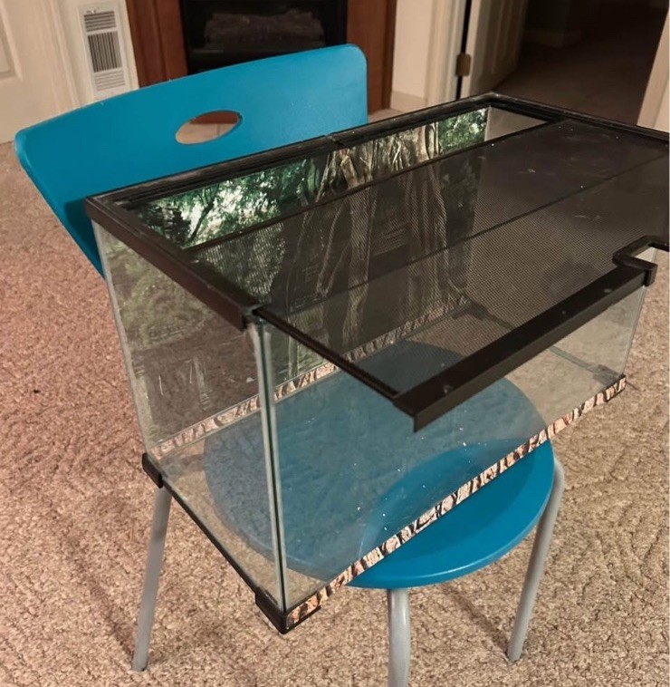 10 Gallon Reptile or Fish Tank with Treats and Decorative Rocks  