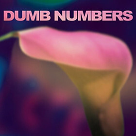 Dumb Numbers - Used Vinyl Record - T16280A