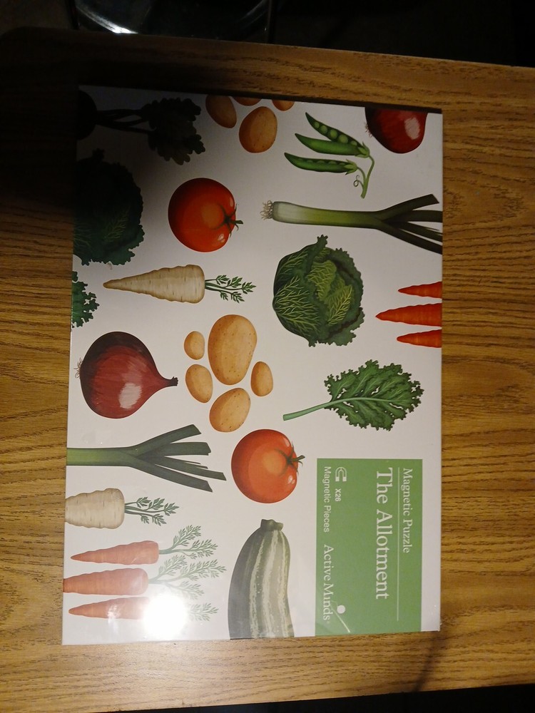 Magnetic Puzzle Active Minds