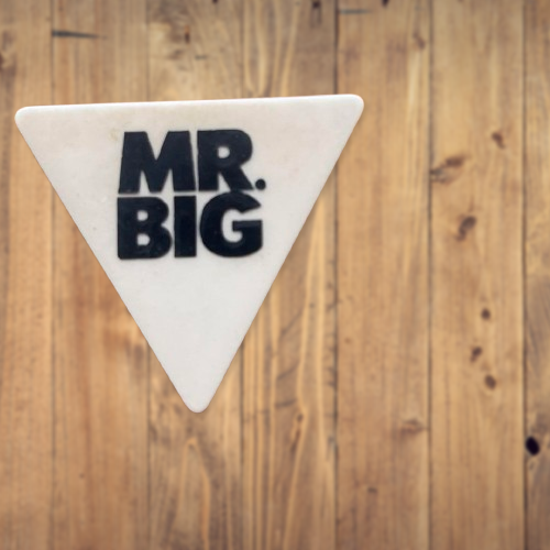 Mr. Big Billy Sheehan Original Guitar Pick 1pcs Vintage Limited Rare F/S