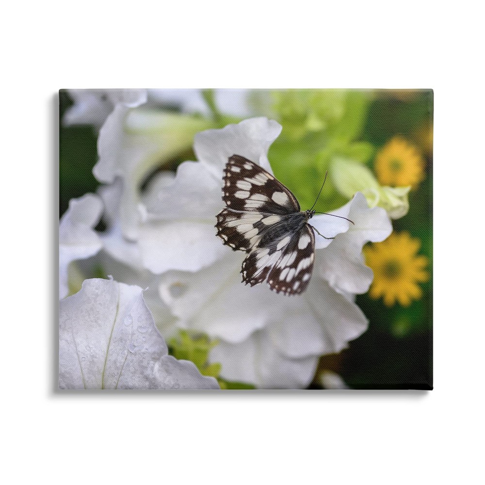 Butterfly Geranium Blossom Canvas Wall Art, Design by Daphne Polselli