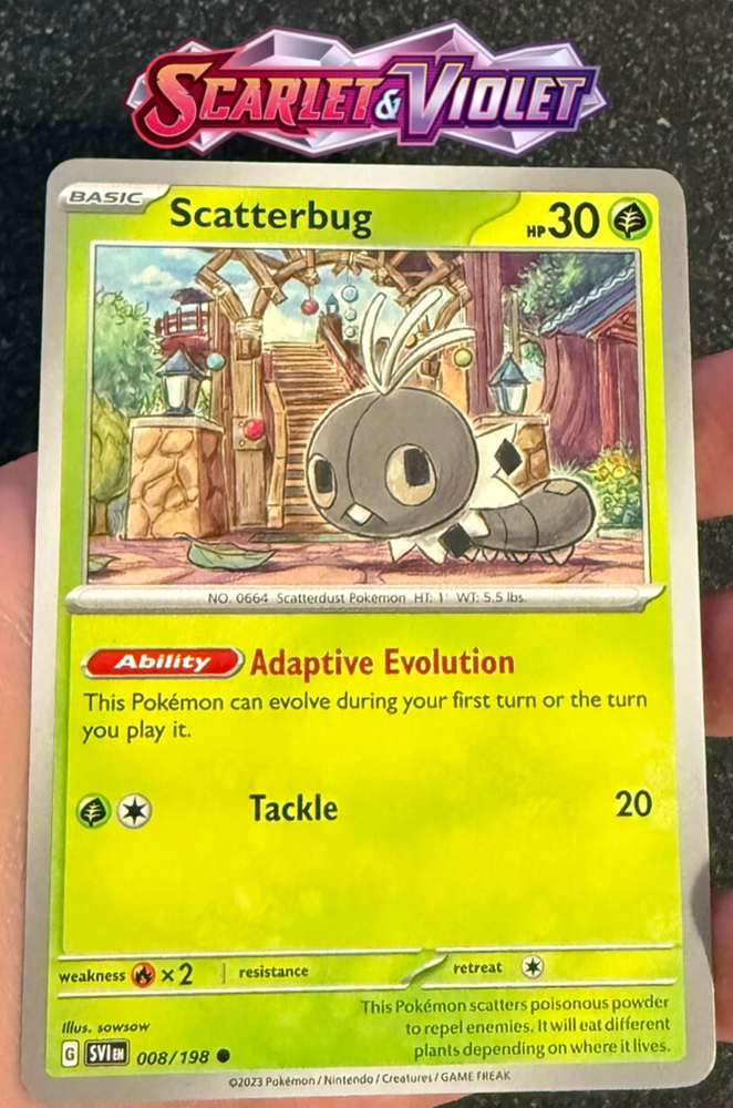 Pokemon TCG Scarlet Violet Base Holo or Reverse Holo Card Near Mint