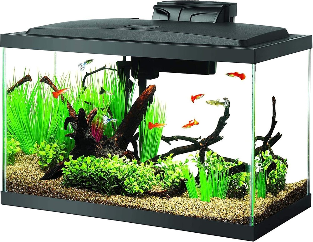 10 Gallon Aquarium Starter Kit with LED Lighting for Fish Tanks