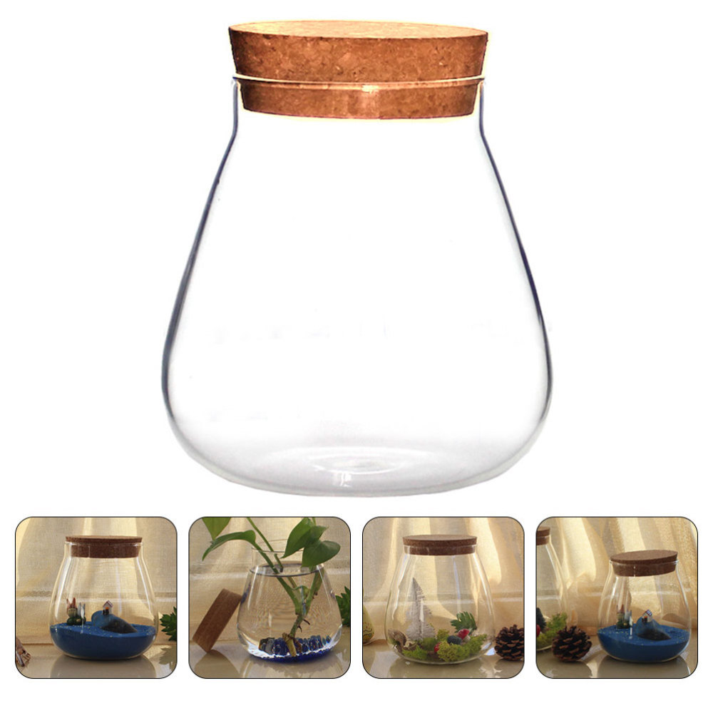 Glass Bottle Terrarium Vase with Cork for Plants and Travel Decor