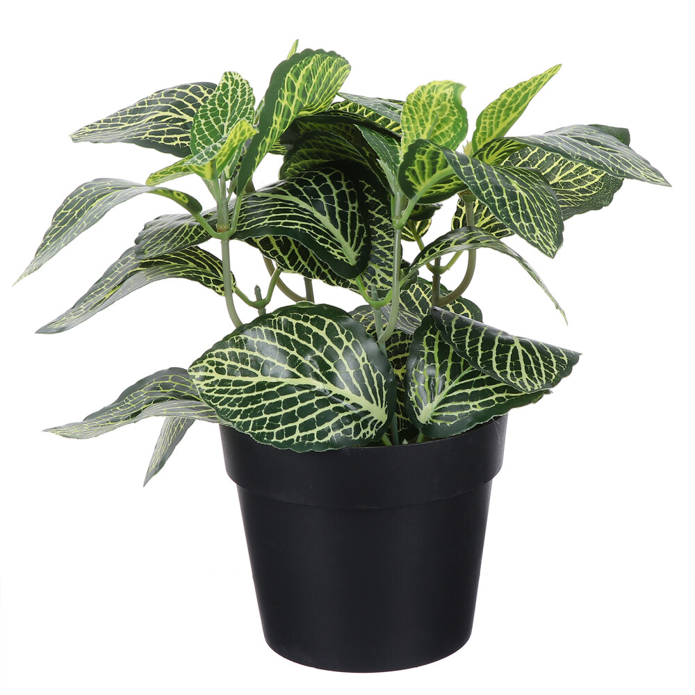 Artificial Succulent Potted Bonsai Fake Plant for Desktop Office Decor