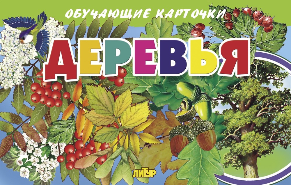 Flashcards on Trees Educational Learning Resource for Kids