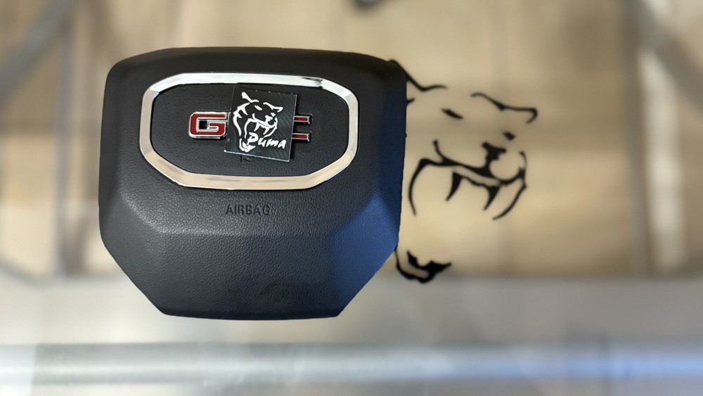 2019-2025 GMC SIERRA  Steering Wheel Cover