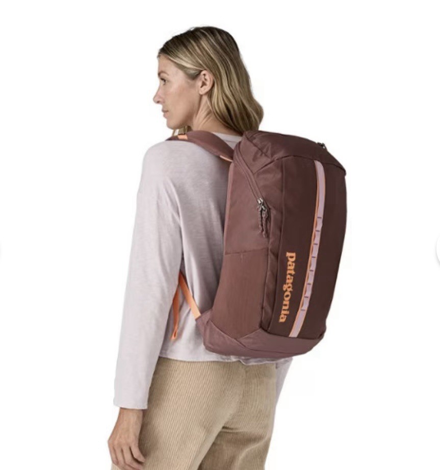 Patagonia Black Hole 25L Backpack in Dulse Mauve Purple New with Tags $189