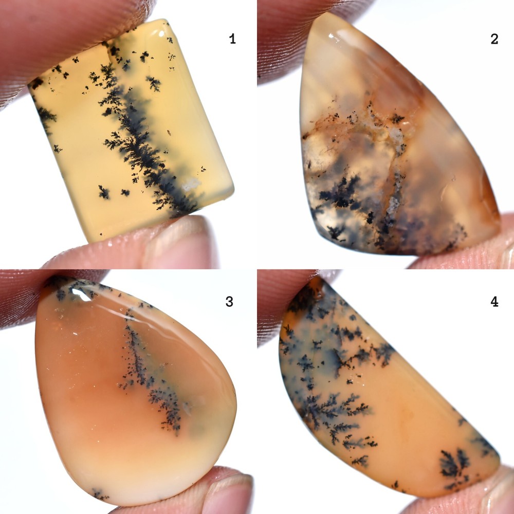 Natural Dendrite Gemstone – Smooth & Hand-Polished Cabochon for Jewelry Making