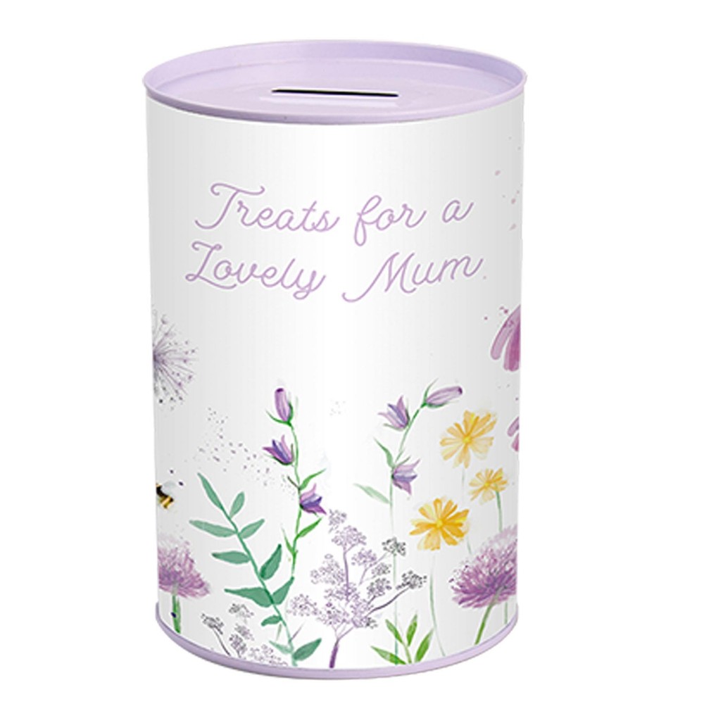 Mothers Day Money Tin Savings Bank Treats for a Lovely Mum-image