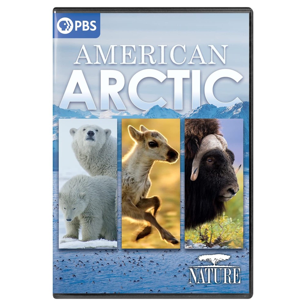 Nature: American Arctic (DVD)