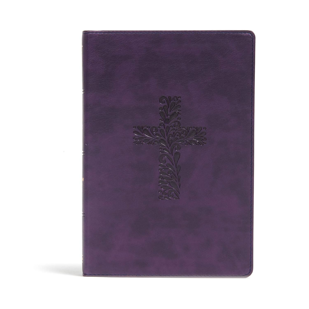 KJV Rainbow Study Bible Purple LeatherTouch Color Coded Easy Read Maps