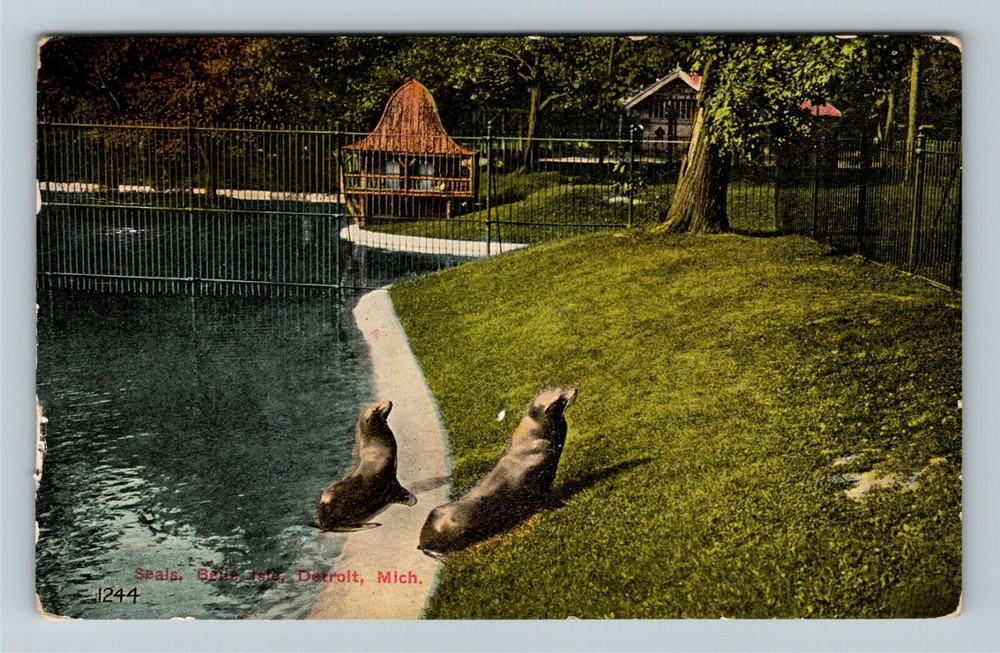 Detroit MI-Michigan, Seals -Belle Isle Park Pond, c1912 Vintage Postcard