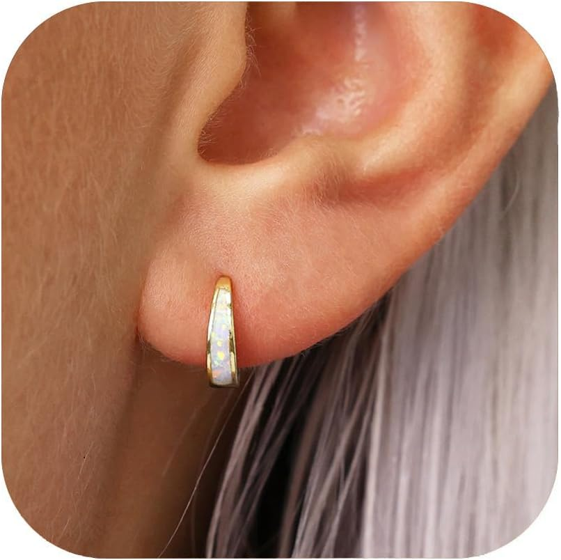 Gold Earrings for Women Trendy Small Gold Hoop Earrings Opal Earrings 14K Gold P