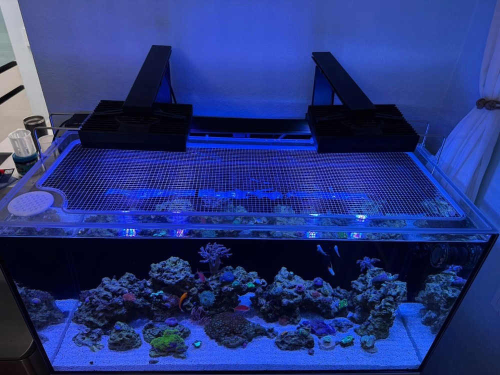 Custom Clear Polycarbonate Aquarium Lid - Durable & Precise Fit