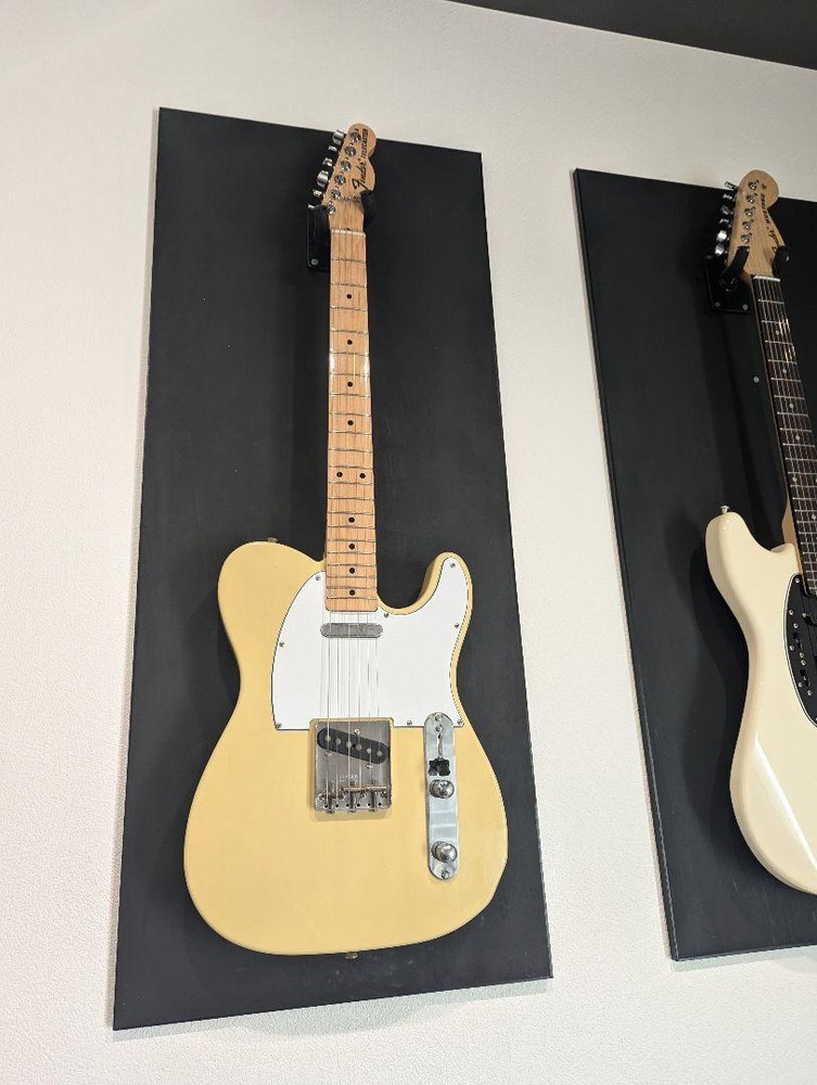 Fender Telecaster Custom Shop TEXAS SPECIAL Safe Packing!