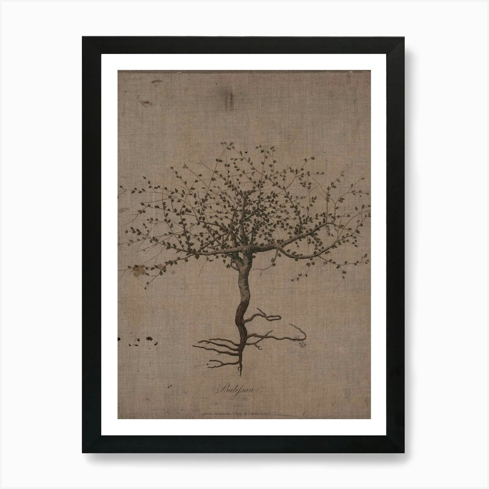 Tree of Life Framed Canvas Art Print Wall Decor Picture