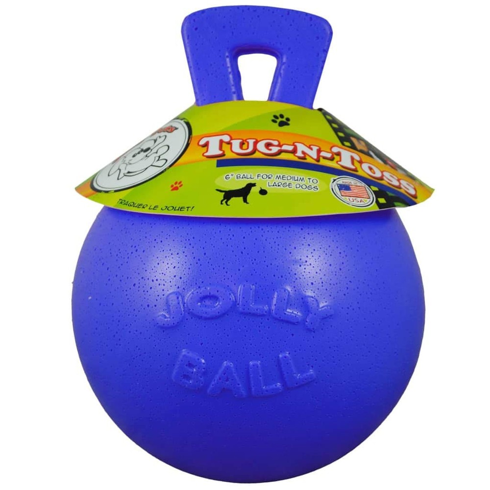 Dog 10-Inch Tug-n-Toss, Blue
