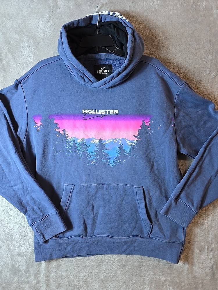 Hollister Sweater Large Adult Blue Hoodie Pullover Pockets Tree Graphic Mens XL