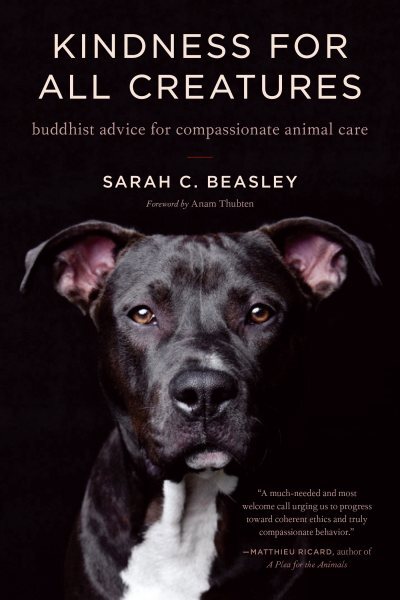 Buddhist Guide to Compassionate Animal Care and Kindness for All Creatures