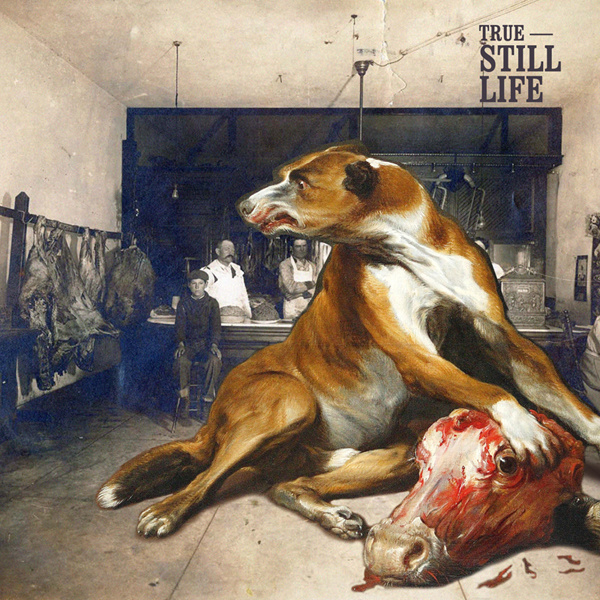 True - Still Life 2010 CD Brand New Sealed
