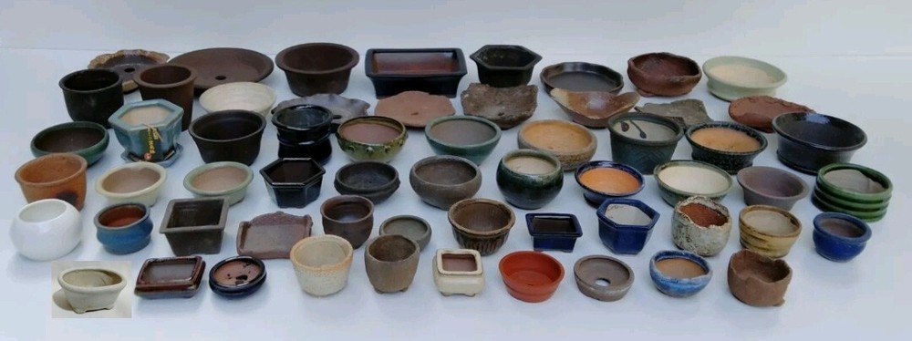 Set of 60 Bonsai Tree Pots & Water Basin Bulk Glazed Unglazed, Various Sizes