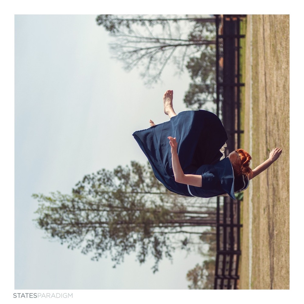 States Paradigm Analog (Vinyl)