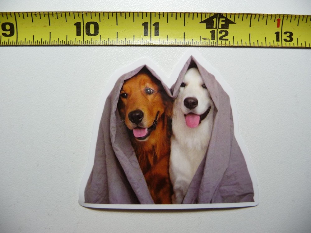 Funny Labrador Bath Brothers Sticker Decal for Dog Lovers