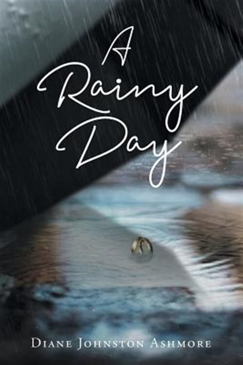 A Rainy Day, Brand New, Free shipping in the US