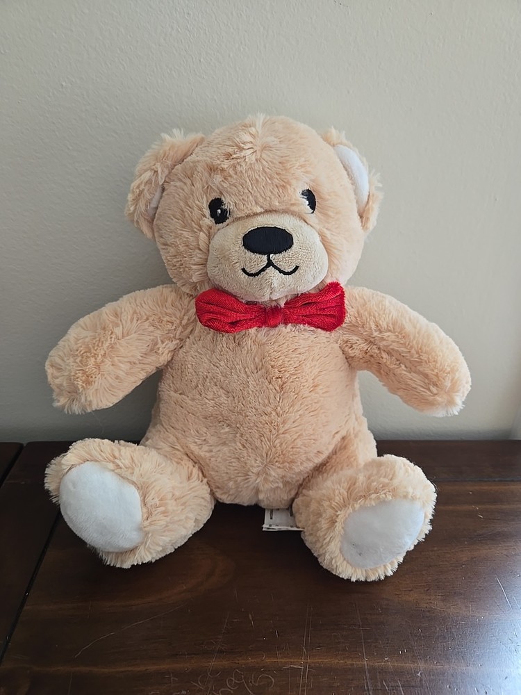 EDI Teddy Bear 10