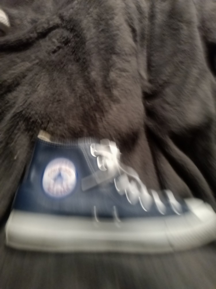 Classic Blue Converse Chuck Taylor High Top Sneakers