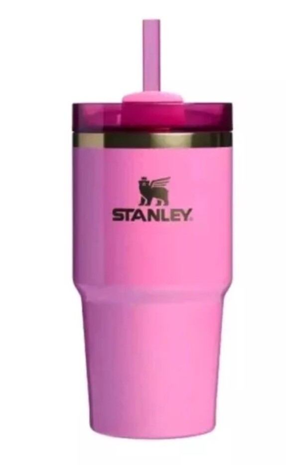 New Stanley x Target Glinda 20 oz H2.0 FlowState Tumbler Wicked Collection