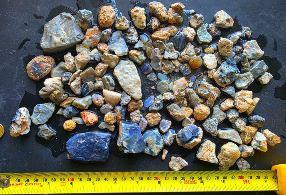 2500ct/Half Kg Gamble Opal Parcel Many colors Natural Mined Lightning Ridge Z86
